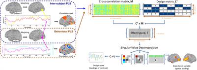 Multivariate Identification of Functional Neural Networks Underpinning Humorous Movie Viewing
